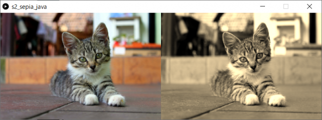 カラー画像をセピア調画像に変換（左：原画像、右：変換後画像）