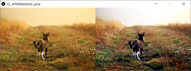 カラー画像のホワイトバランス調整（左：原画像、右：変換後画像）